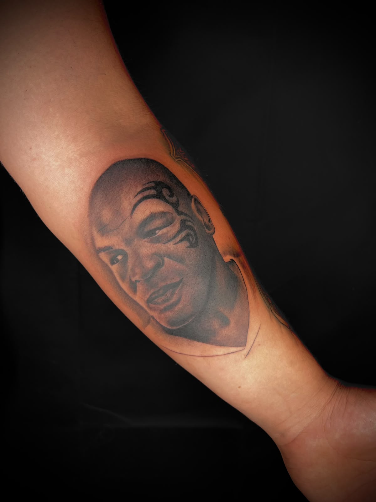 Boxerporträt — Tattoo von Ciprian Grapa