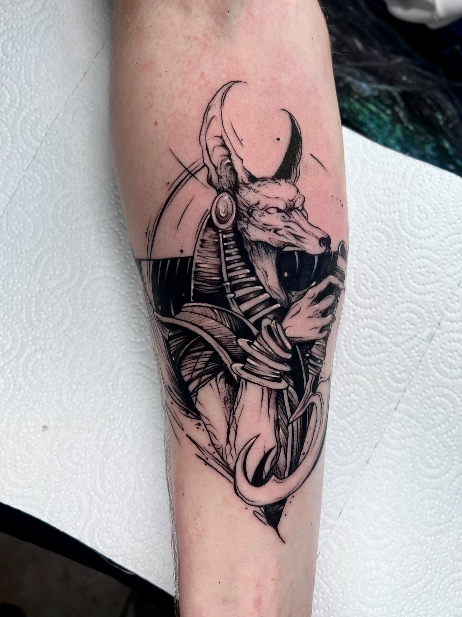 Anubis — Tattoo von Ciprian Grapa