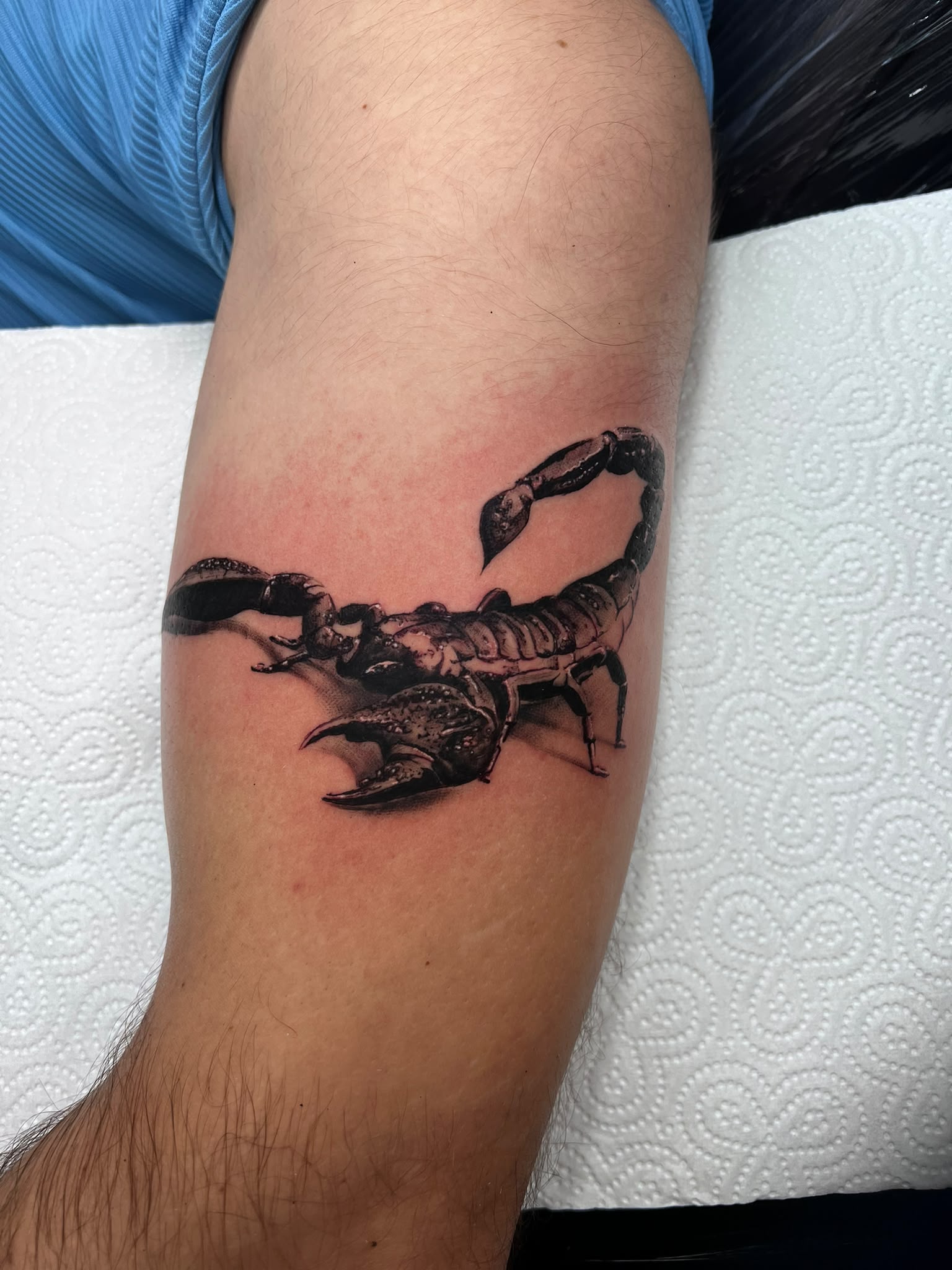 Skorpion — Tattoo von Ciprian Grapa